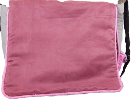 Paris bag